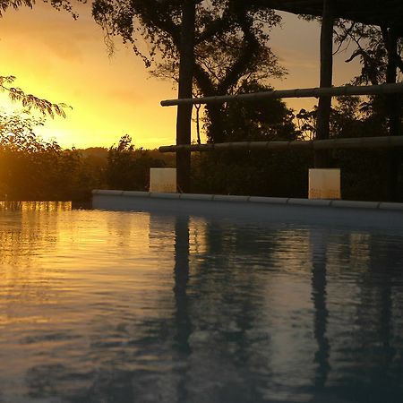 Raices Amambai Lodges Пуэрто-Игуасу Экстерьер фото